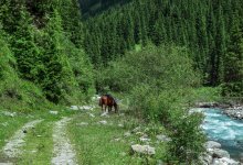 Тревел-блогеры помогают влюбиться в природу Казахстана