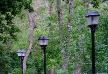 1200 темных участков осветят в Алматы