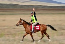 Международный марафон “Ұлы дала жорығы”: итоги первого дня