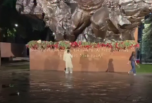 Пара украла цветы с мемориала панфиловцам в Алматы