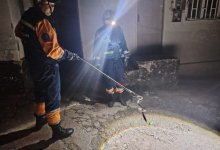 Змея пробралась в жилой дом в Алматинской области (ВИДЕО)