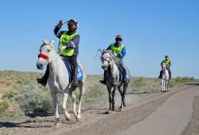 Международный марафон “Ұлы дала жорығы”: итоги четвертого дня
