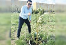 Мечтаю, чтобы Караганда стала городом-садом