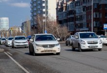 Утка с утятами перебежала дорогу перед Байтереком в Астане (ВИДЕО)