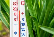 Резкое похолодание прогнозируют в Казахстане 18 мая