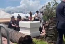 Гость Каннского кинофестиваля получил по голове пальмовой ветвью