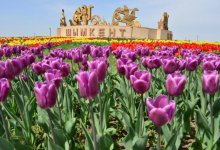 Почему Шымкент стал магнитом для туристов?