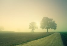 Пыльная буря и туман ожидаются в Казахстане 20 мая