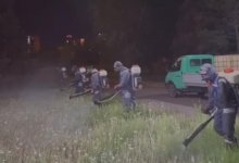 Борьбу с мошками и комарами продолжают в Астане