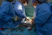 Органы разорваны, руки изувечены: раскрыты подробности нападения в Кокшетау