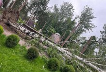 Ураган повредил 178 домов и повалил сотни деревьев на Иссык-Куле