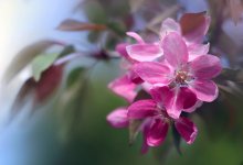 Что принесет погода Алматы с понедельника по пятницу