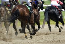 Астанчане смогут бесплатно посетить международные конные соревнования