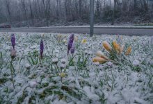 Новосибирск засыпало снегом (ВИДЕО)
