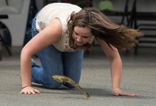 Турнир лягушек по прыжкам с трамплина прошел в Калифорнии