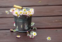 Прогноз погоды на 28 мая: дожди, заморозки и пыльные бури в Казахстане