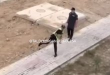 Полицейский бросил камень в мотоциклиста (ВИДЕО)