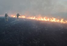 Степь горела в Акмолинской области