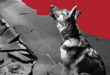 Землетрясение магнитудой выше 7? Что говорят в МЧС Узбекистана