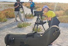 На страже природы