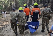 Пожилая женщина пострадала в Бурабае