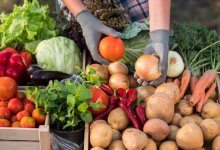 Где выгодно купить продукты в Астане