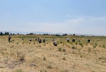 AMANAT: Забота о родной земле – общее дело