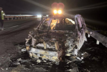 Смертельное ДТП с лошадью произошло на трассе в Акмолинской области