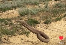 Казахстанцы получили новые рекомендации в связи с жарой