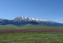 Бесплатные 10 соток: действительно ли раздают земли в Алматинской области