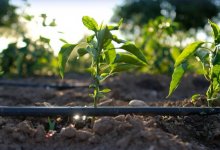 Казахстан активно внедряет водосберегающие технологии - министерство