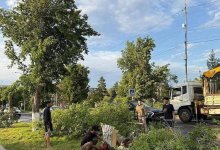 Последствия урагана устраняют в Павлодаре