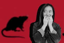 Крысы поселились во дворе ЖК в Астане