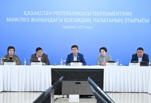 Год закону о бытовом насилии: снижение количества преступлений отметили в Казахстане