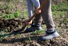 Двух людей закопали заживо ради ритуала