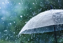 Воскресенье в Казахстане будет дождливым