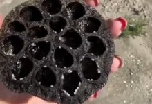 Загадочную находку нашла на пляже жительница Актау