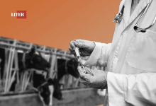 Случаи заражения сибирской язвой выявили в Акмолинской области