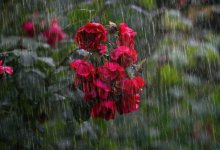 Пыльная буря, дожди и град ожидаются в Казахстане 4 июля