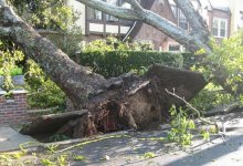 Пострадавшая во время урагана женщина скончалась в Экибастузе