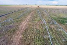 Орошаемое земледелие развивают в Карагандинской области