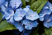 Дожди с грозами накроют Астану и Алматы