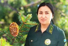 Есть такая профессия — лесовод