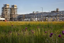 Биоразнообразие и экология Карачаганака