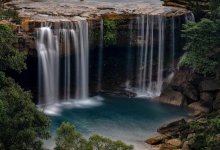 Россиянка почти две недели жила с двумя детьми в джунглях в Индии