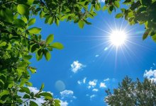 Алматинцев ждет жаркая неделя