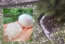 Аномальный град размером с куриное яйцо обрушился на Бухтарму (ВИДЕО)