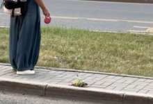 Черепаху на поводке заметили в Астане (ВИДЕО)