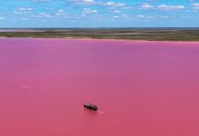 Еще одно розовое озеро обнаружено в Казахстане (ВИДЕО)