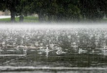 Сильные дожди с грозами надвигаются на север Казахстана